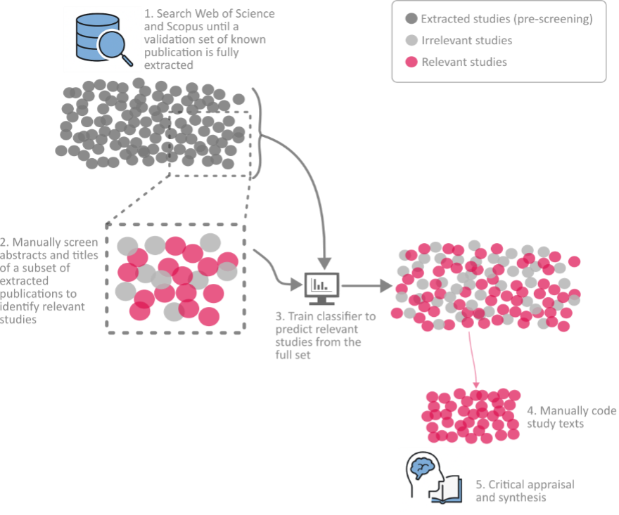 This graphic visualizes the extraction, screening and coding process.
